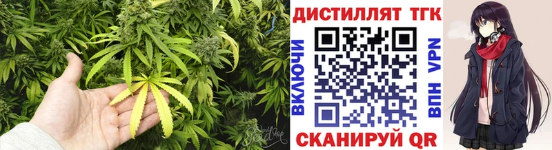 где можно купить kraken ONION Дистиллят ТГК жижа Кедровый
